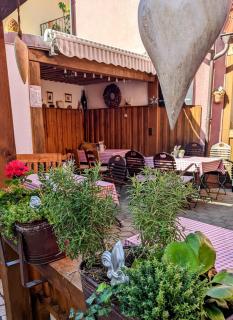 Gasthof Hotel Rose - Obereisenheim - 3