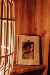 Hoeve Twente - De Buizerd - Heythuysen - 4