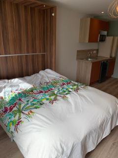 Nouveau studio à 15 min de Strasbourg - Hurtigheim - 1