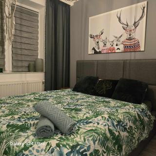 Apartament Stop w Ustrzykach Dolnych - 4