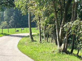 Natur pur Amelie - Kraiburg am Inn - 6