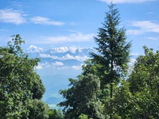 My Nest Resorts Kausani - Kausani - 9
