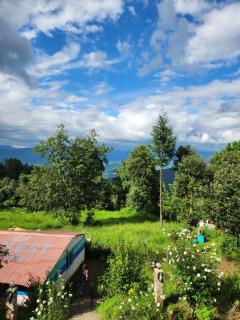 My Nest Resorts Kausani - Kausani - 8