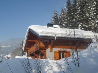 Chalet le Cerf : dans le centre de Châtel - Châtel - 0