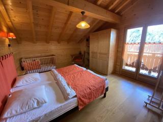 Chalet le Cerf : dans le centre de Châtel - Châtel - 1
