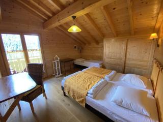 Chalet le Cerf : dans le centre de Châtel - Châtel - 3
