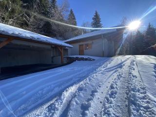 Chalet le Cerf : dans le centre de Châtel - Châtel - 7