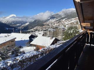 Chalet le Cerf : dans le centre de Châtel - Châtel - 8