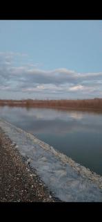 Drinska Ljepotica - Bijeljina - 2