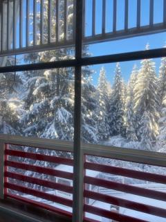 Freeman-4b - двоповерховий апартамент у котеджі з альтанкою та грилем для 6 гостей - 4