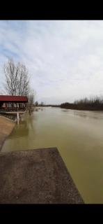Drinska Ljepotica - Bijeljina - 4