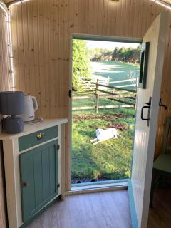 Silverspring Glamping The Shepherds Hut - 2