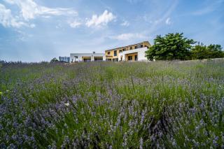 Villa Arkaim with Private Pool - Filipana - 6