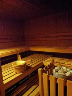 Pool & Sauna Wellness Charming Swiss style chalet! - Salouf - 7