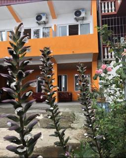 guest house citrus - Kobuleti - 8