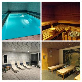 Pool & Sauna Wellness Charming Swiss style chalet! - Salouf - 0