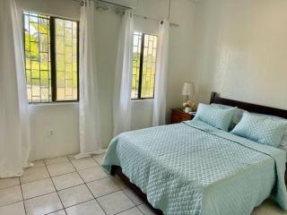 Tropical Oasis with pool that sleeps 12 - Ladyville - 2