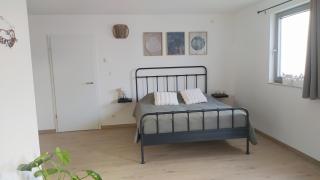 Bois de rose - 7