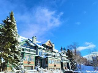 Spacious Mountain Home with SAUNA - Clairiere 406 - Mont-Tremblant - 8