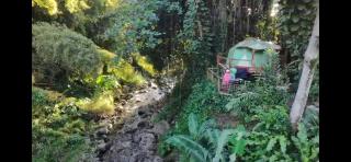 Dôme en bord de rivière - 1