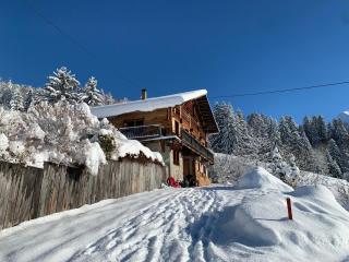 Le Nid du Farzy, au cœur des Aravis - 7