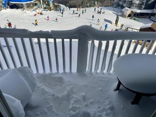 AS434 Ski-in Ski-out Penthouse Sleeps 6 - Snowshoe - 8