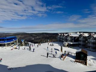 AS434 Ski-in Ski-out Penthouse Sleeps 6 - 2
