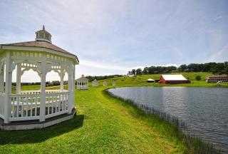 Lucky Bear Lakeside - Swanton - 9