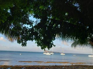La villa de christiane - Grand Baie - 5