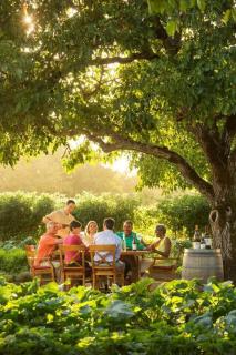 Deluxe King Suite at the Historic Stonehouse Inn! - Santa Rosa - 8