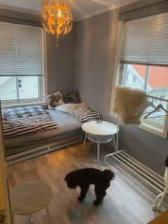 200 M TIL ALT to everything - 5