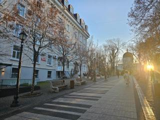 Cathedral Park&Pedestrian Zone Apartment! - Chişinău - 0