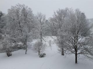 Grubhof Treetops - 5