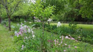 gite au jardin de grand-père - Fougères-sur-Bièvre - 4