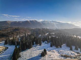 ALBERT RESIDENCE APARTHOTEL GRAND CHALET with FREE SPA access to Alpin Resort - Poiana Brasov - 3