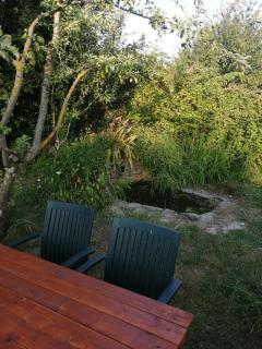 Nerry's Garden Izmit - Rose - - 3