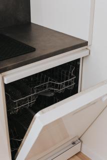 Lacplesa Street Apartment - 8