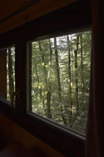 Treehouse Velké Losiny - Velké Losiny - 7
