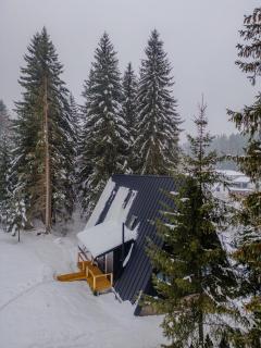 Black Raven Cabin - Topliţa - 4