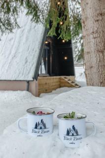 Black Raven Cabin - Topliţa - 3