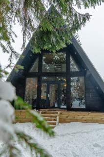 Black Raven Cabin - Topliţa - 2