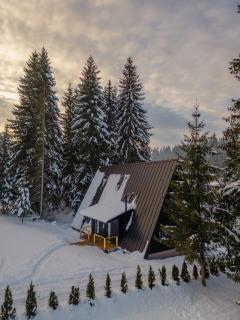Black Raven Cabin - Topliţa - 0