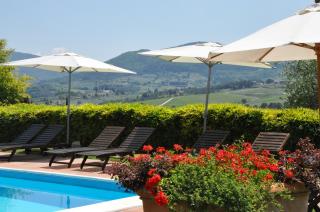 Villa Il Leccio - Strada - 1