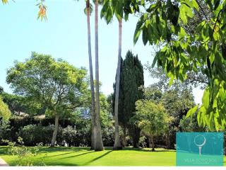 Villa Soto Sol Sotogrande - Sotogrande - 5