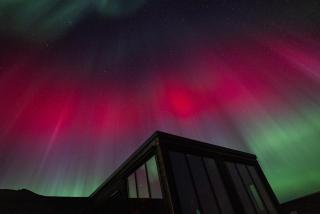 Luxury Lodge in Lofoten - jacuzzi & sauna - LL20 - Lyngværet - 5