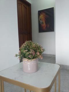 Hermoso y cómodo apartamento en Leticia - Leticia - 1