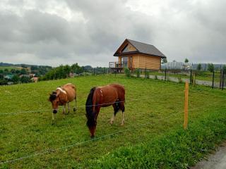 Żarniczki 693-387-544 - Polańczyk - 9