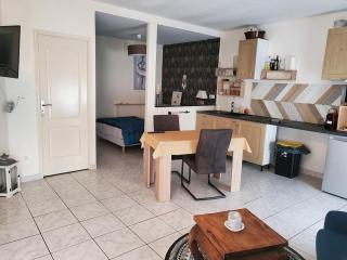 Large quiet studio, - Angers - 0