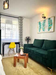 Cozy studio Milimani - Kisumu - 9