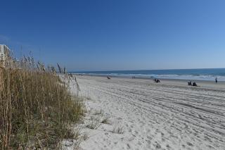 BC1600 Beach Colony 1BR 1 Bath - Myrtle Beach - 3